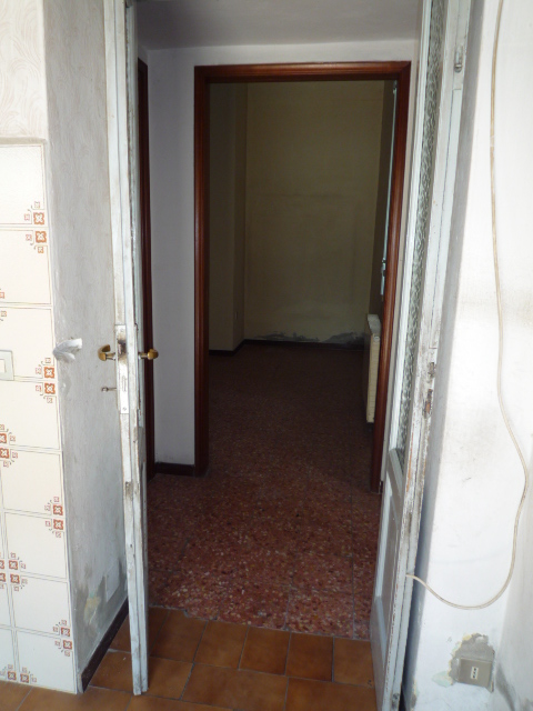 Immagine 3