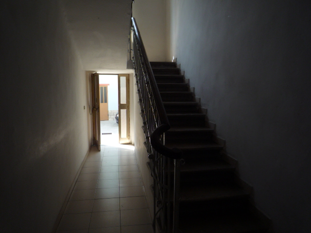 Immagine 4