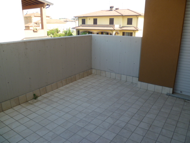 Immagine 5