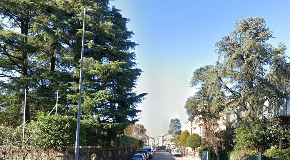 Immagine 9