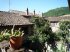 Immagine 10