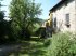 Immagine 7