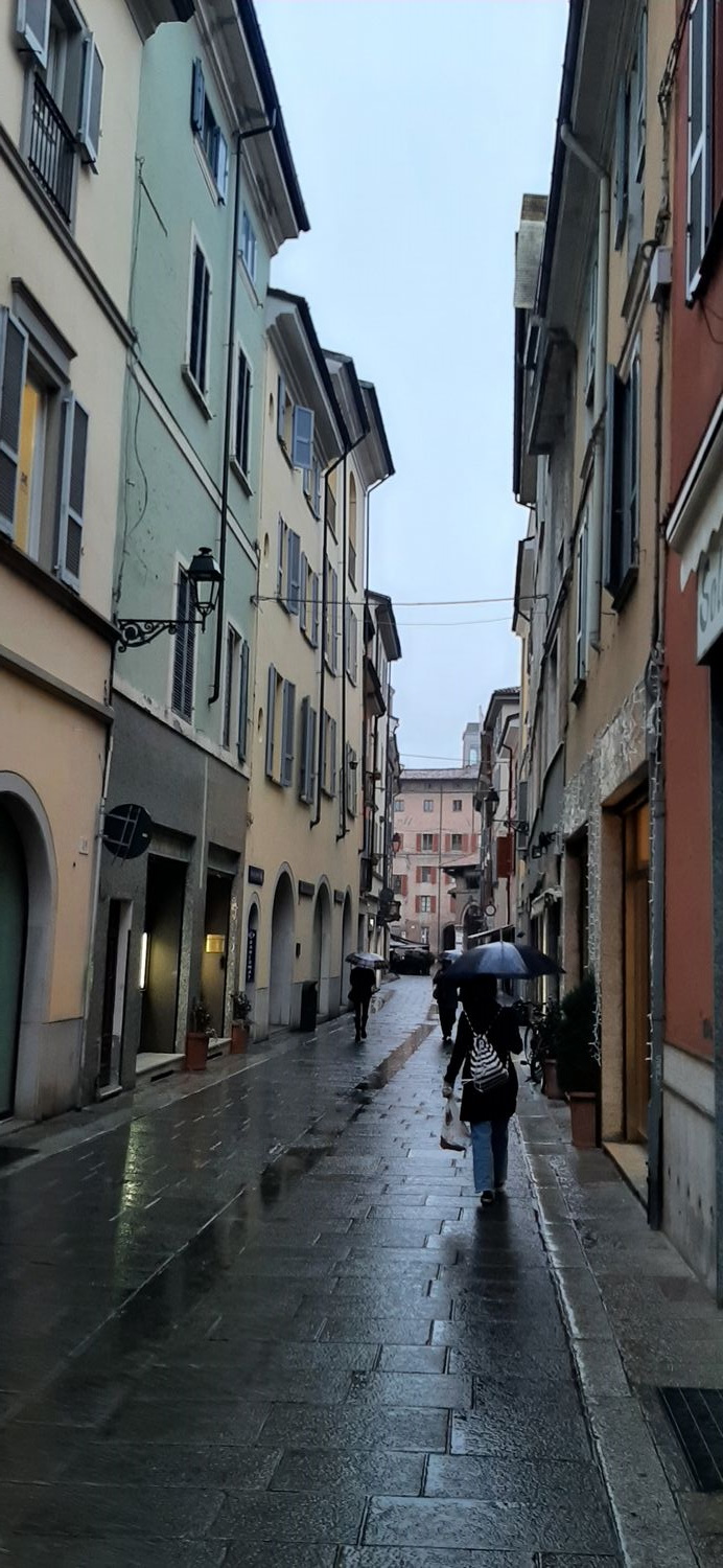 Immagine 3